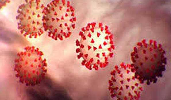 ब्राजील में कोरोना ने ली 1.46 लाख से अधिक लोगों की जान ब्राजील में कोरोना ने ली 1.46 लाख से अधिक लोगों की जान